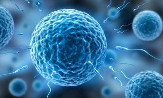 2026俄罗斯试管婴儿生殖中心哪里好？