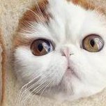 2026北京助孕中医院最新排名分享，助孕中医专家名单汇总