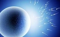 2026宁夏试管助孕机构有哪些(附机构排名介绍)