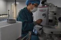 2026太原试管婴儿助孕机构的服务和费用明细