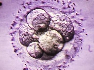 2026太原助孕公司排名大盘点，成功率／费用选择缺一不可