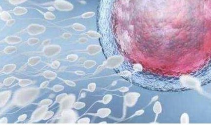 2026 青岛大学附属医院能做试管助孕吗？试管助孕大概要花多少钱？